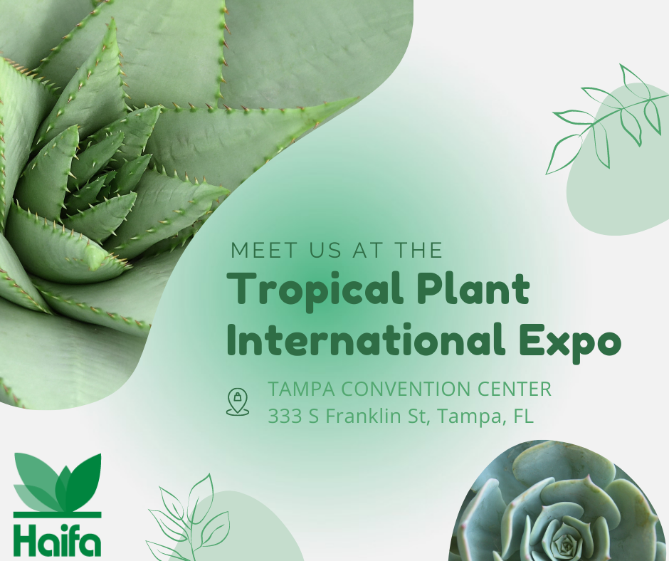 Tropical Plant International Expo (TPIE) Haifa Group